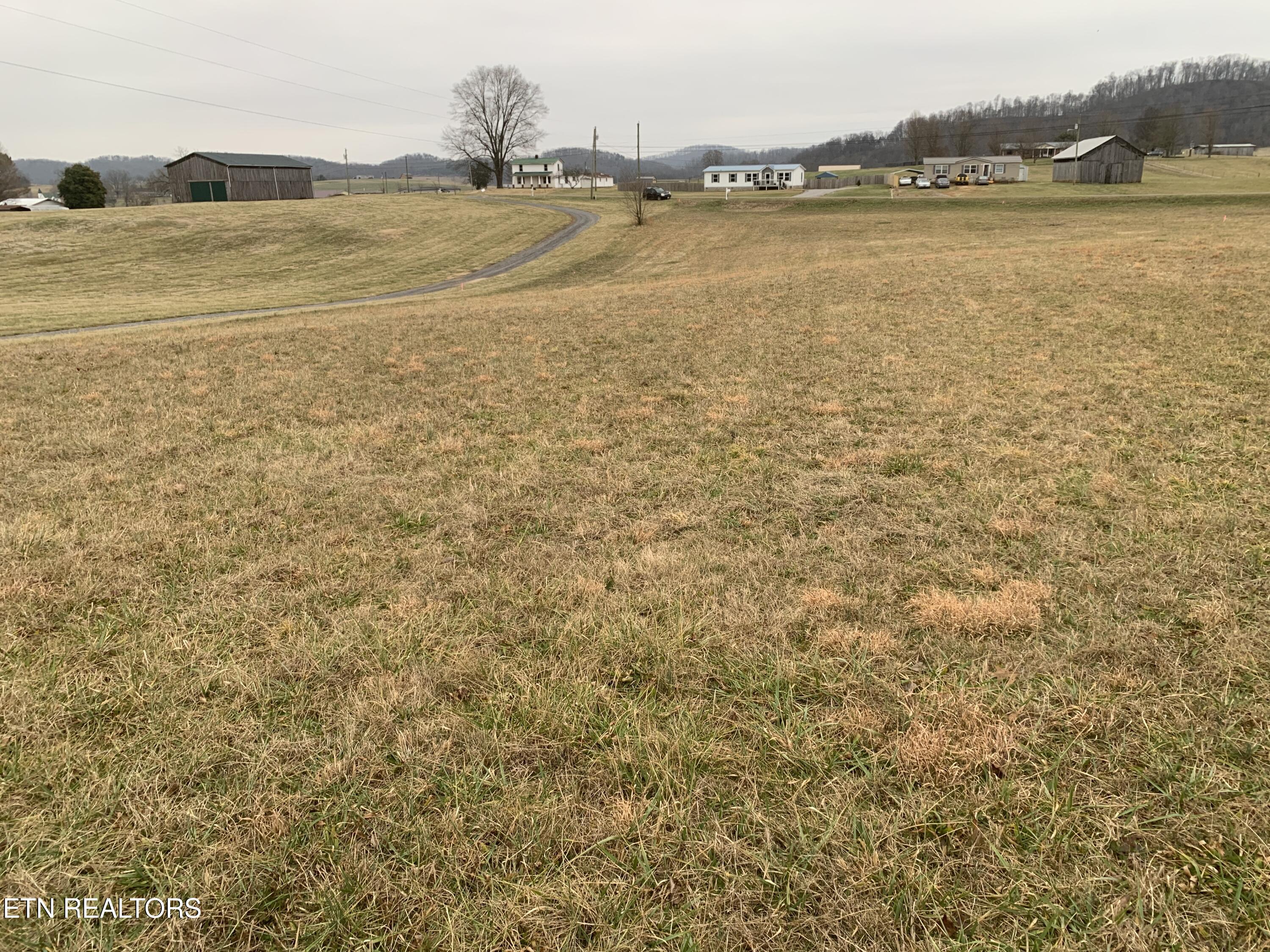 0 Hickory Cove Road Rogersville, TN 37857 - Photo 9 of 13 IMG_1477