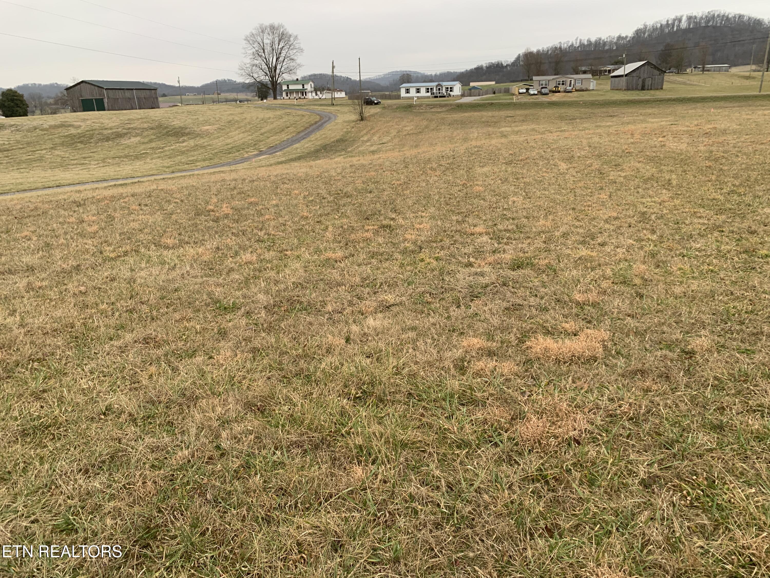 0 Hickory Cove Road Rogersville, TN 37857 - Photo 10 of 13 IMG_1478