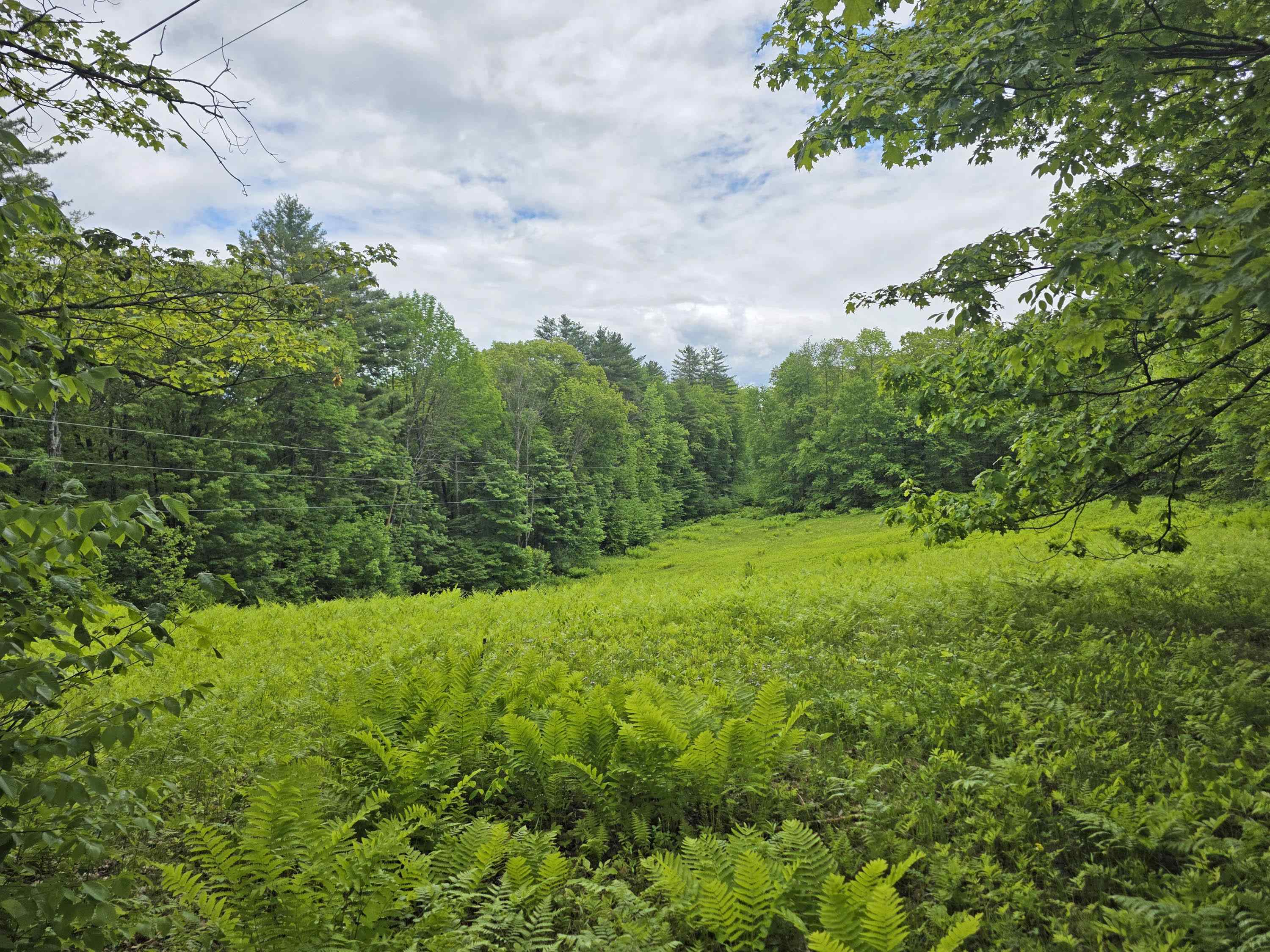157 Newfane Hill Road Newfane, VT 05345 - Photo 2 of 37