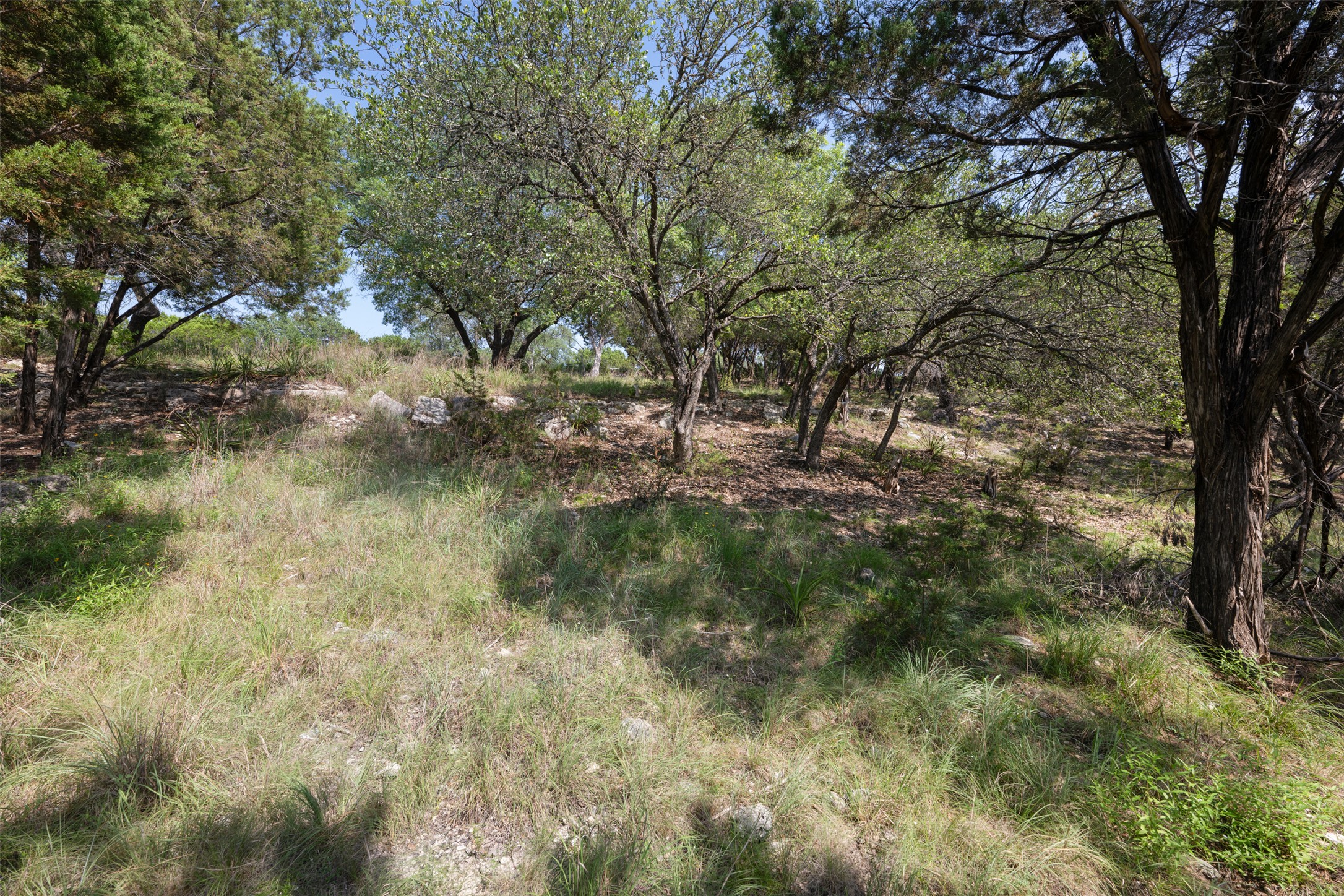 21105 Ridgeview Road Lago Vista, TX 78645 - Photo 24 of 34 A secluded, naturally vegetated lot offering a serene retreat amidst mature trees and sun-dappled grounds.