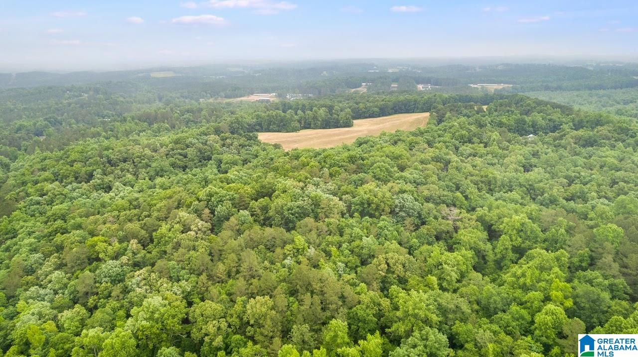 14791 County Road 10, Unit 45 ACRES Ranburne, AL 36273 - Photo 19 of 43