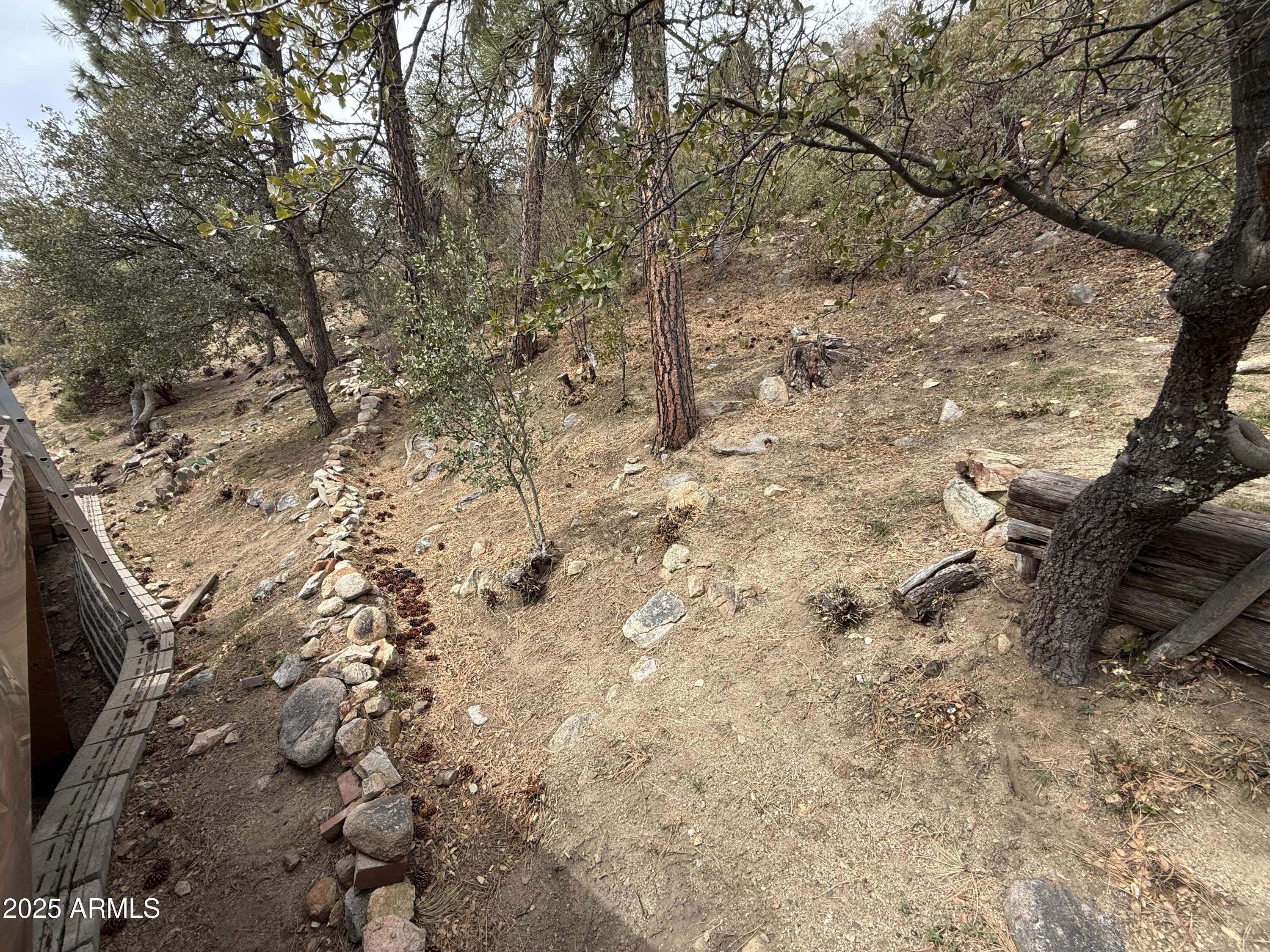23442 Manzanita Road Crown King, AZ 86343 - Photo 26 of 41 a view of a yard with a tree