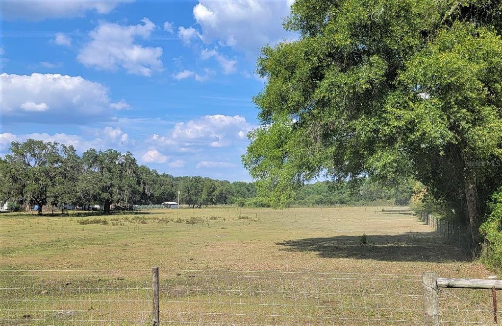 Delong Road Dade City, FL 33523 - Photo 1 of 1 Gallery Image 1
