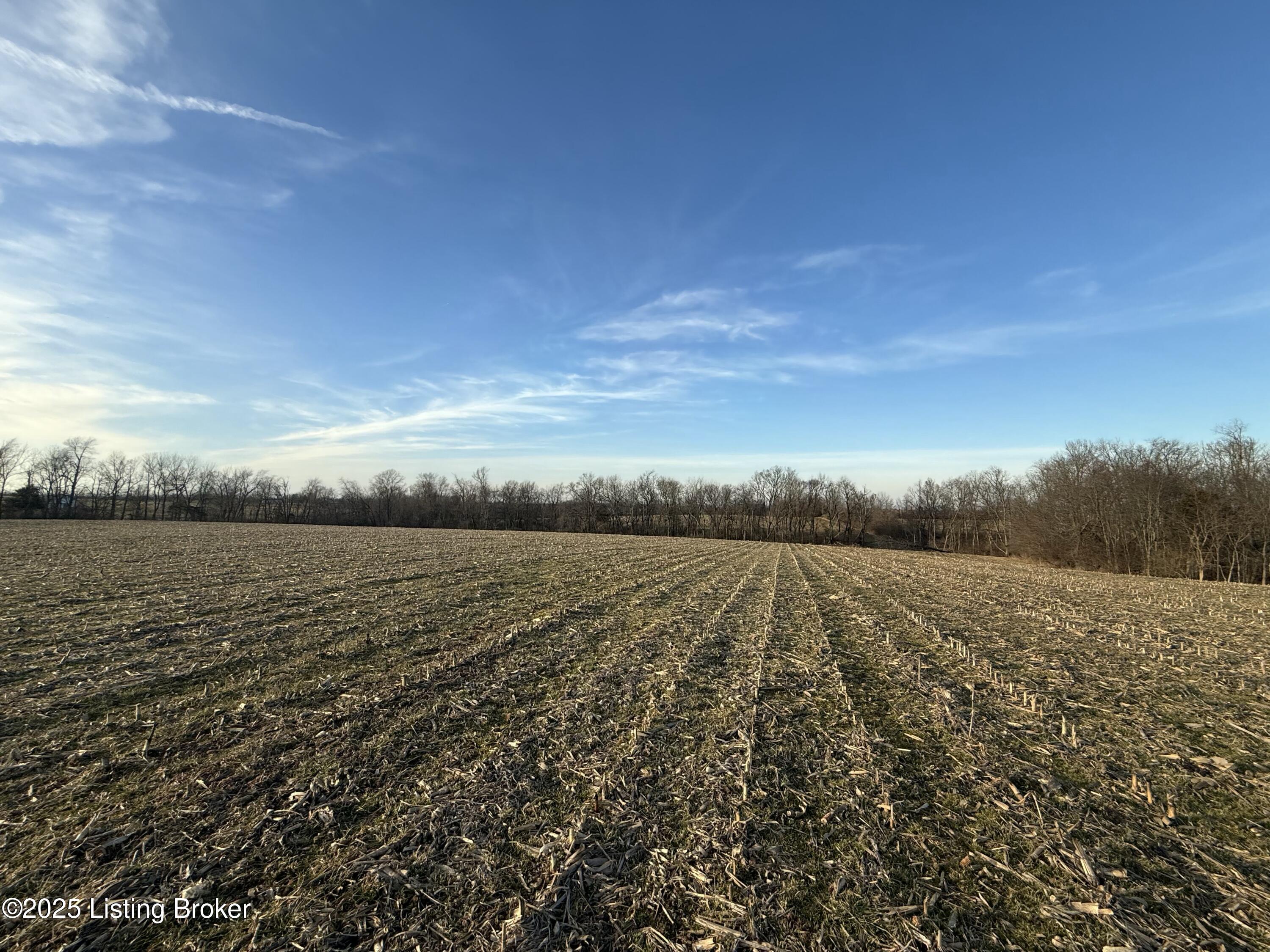 0 Lawrenceburg Road Bloomfield, KY 40008 - Photo 4 of 10 tempImagekt1HZs