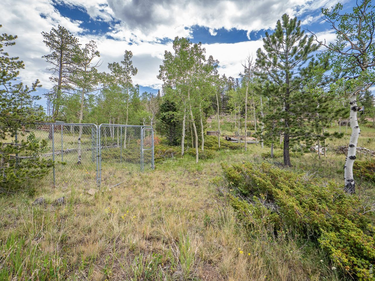 22 Tami Road Red Feather Lakes, CO 80545 - Photo 8 of 33 Dog kennel included.