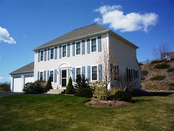a front view of a house with a garden and plants