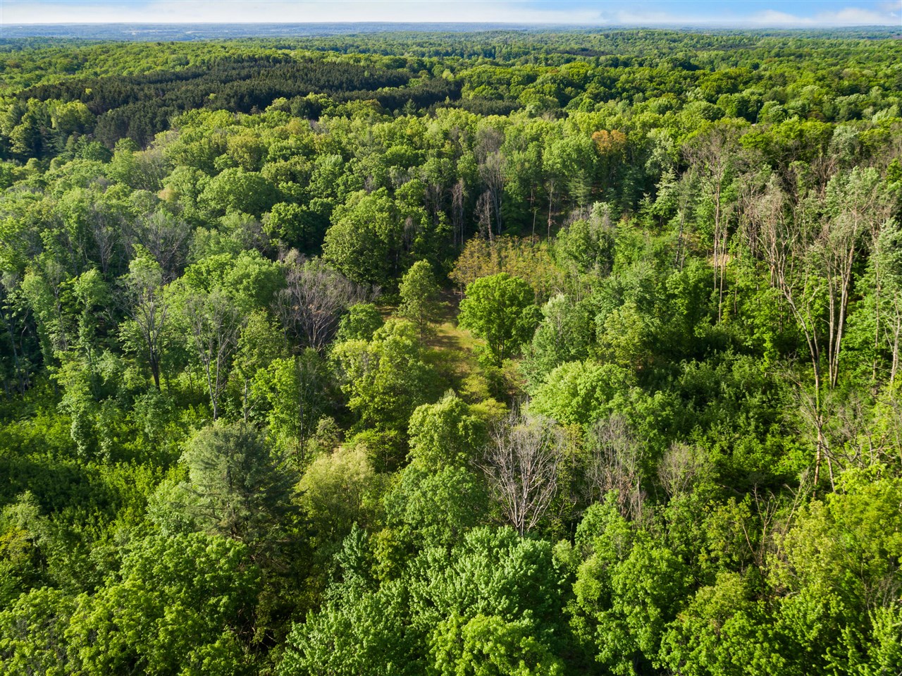 12 12 Mile Road Lakeview, MI 48850 - Photo 11 of 13 Gallery Image 11
