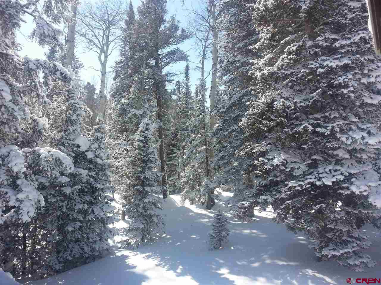 461 Rim Road Cimarron, CO 81220 - Photo 5 of 32 Gallery Image 5