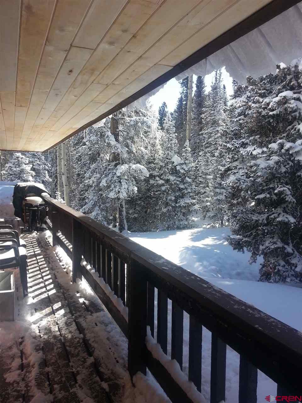 461 Rim Road Cimarron, CO 81220 - Photo 8 of 32 Gallery Image 8