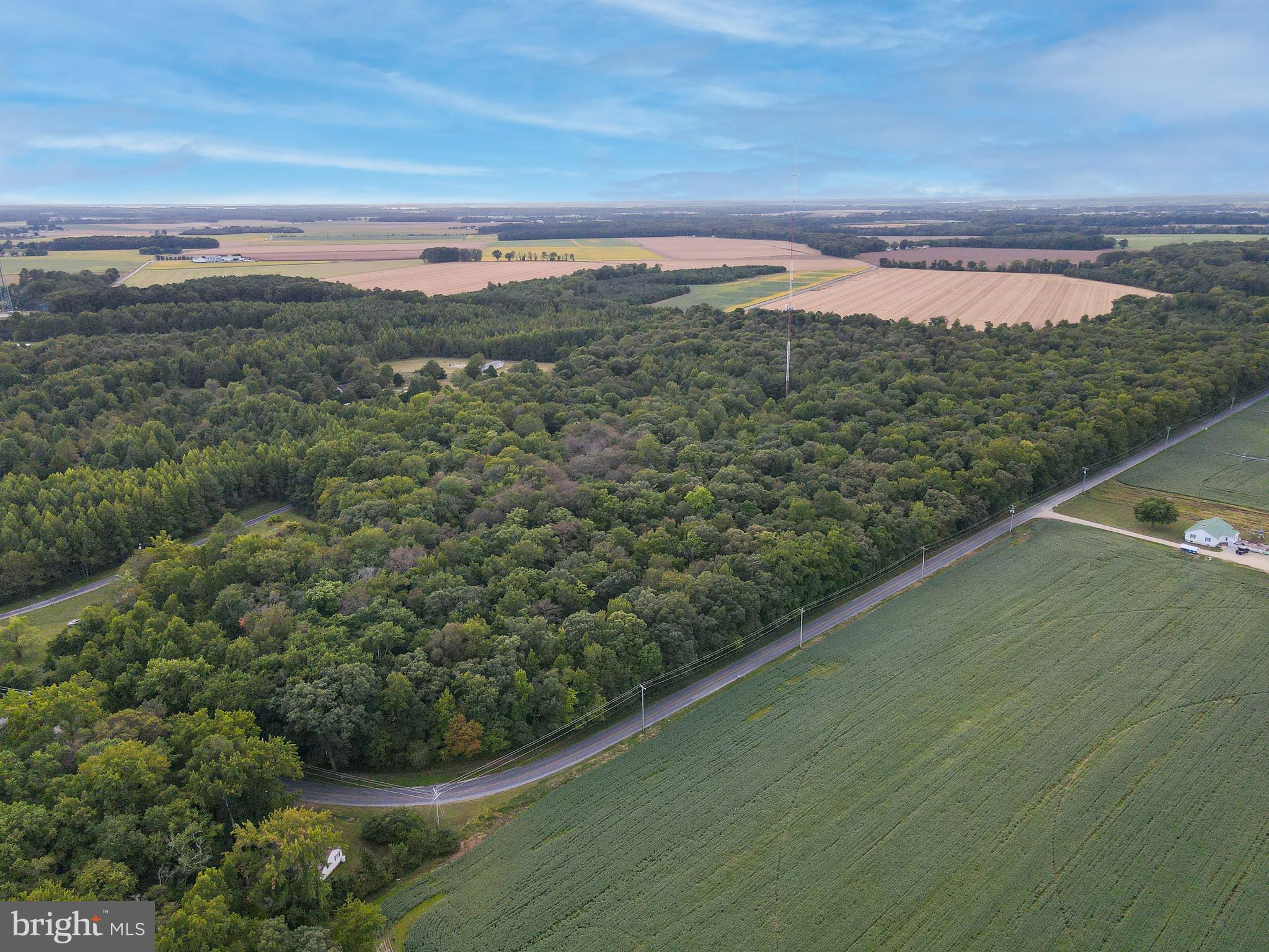 Payne Road Hurlock, MD 21643 - Photo 1 of 4 Aerial photo of Property