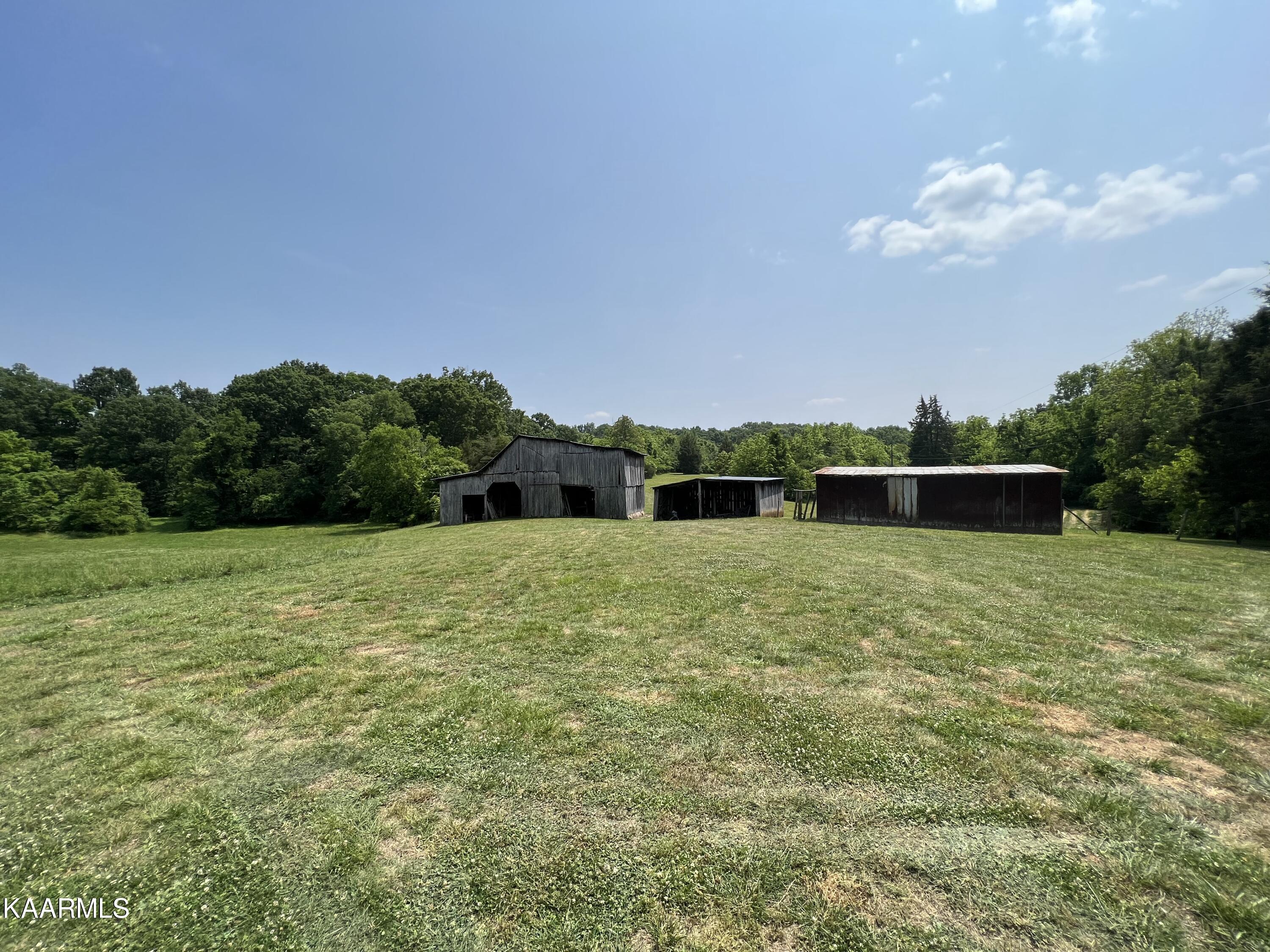 1350 Brogan Road Morristown, TN 37813 - Photo 18 of 21 IMG_7162