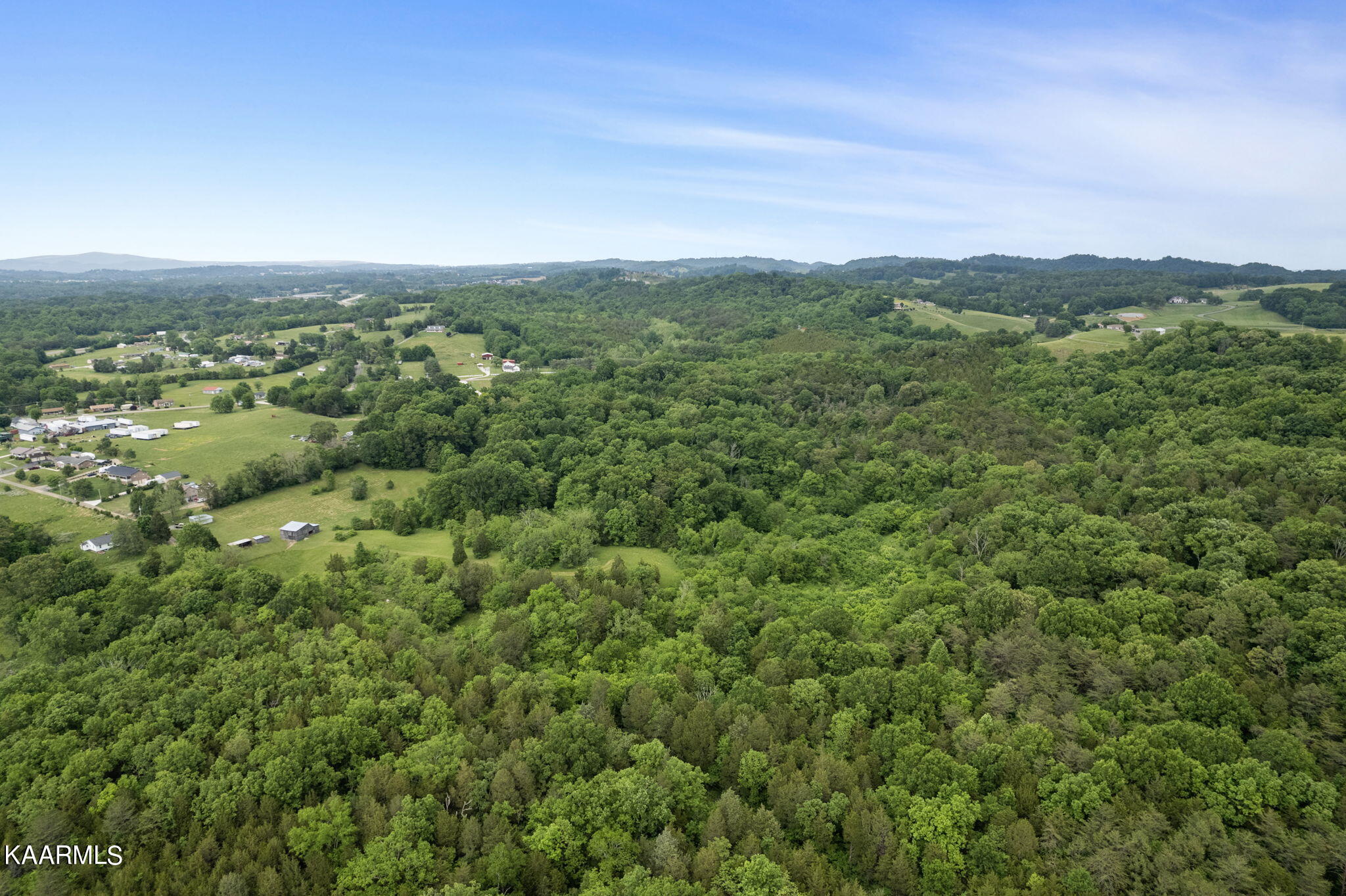 1350 Brogan Road Morristown, TN 37813 - Photo 5 of 21 4-web-or-mls-DJI_0045