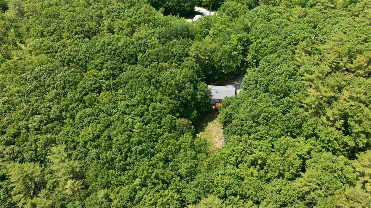 53 Butler Hill Road Minot, ME 04258 - Photo 50 of 57 15-DJI_20260615120050_0012_D