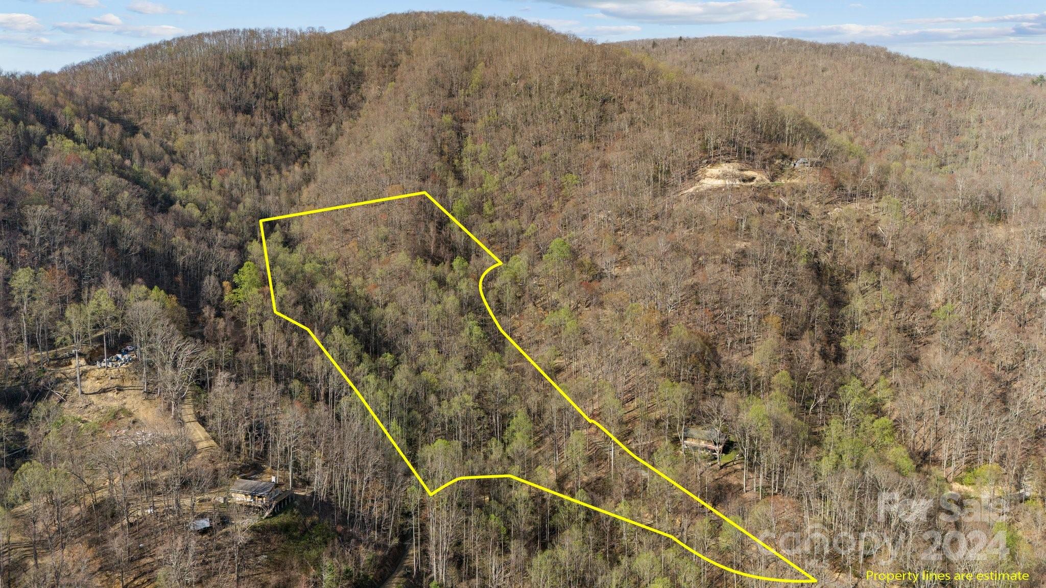 Lot 33 Deer Rock Road Hot Springs, NC 28743 - Photo 1 of 16 a view of a dry yard with mountain