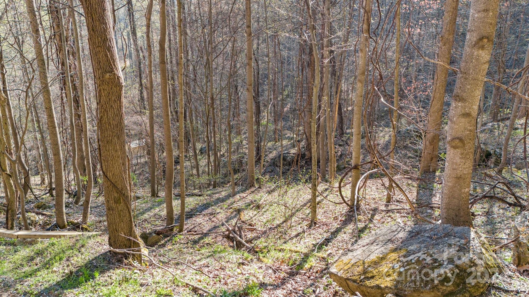 Lot 33 Deer Rock Road Hot Springs, NC 28743 - Photo 11 of 16 a view of small yard