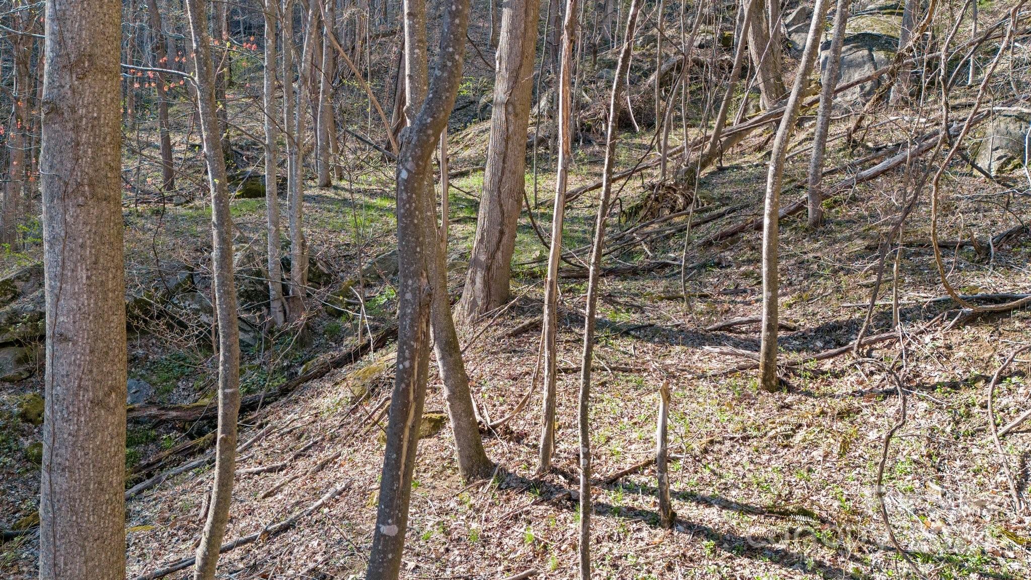 Lot 33 Deer Rock Road Hot Springs, NC 28743 - Photo 12 of 16 a view of a pathway