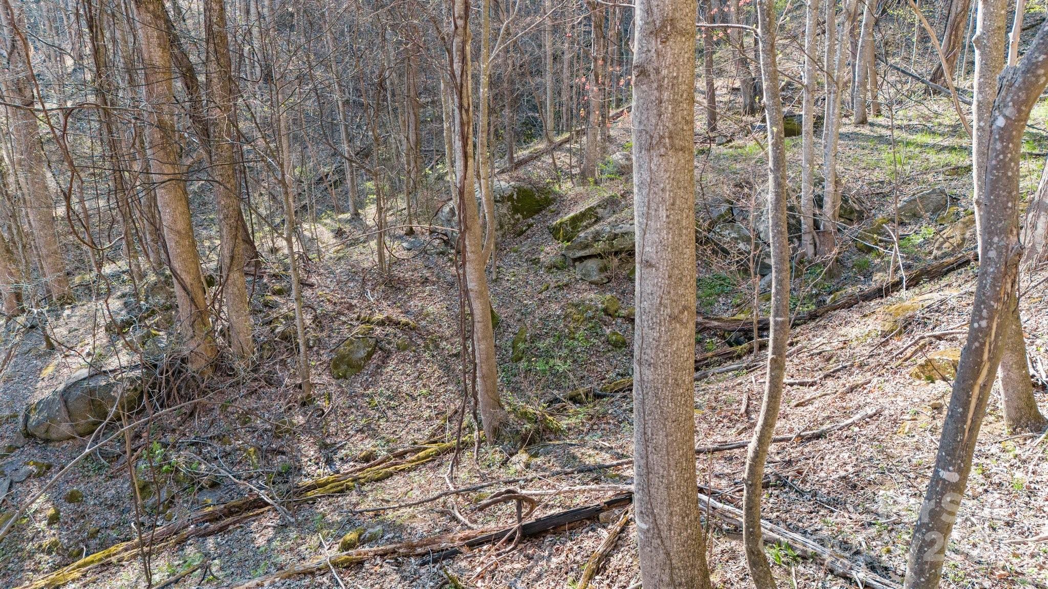 Lot 33 Deer Rock Road Hot Springs, NC 28743 - Photo 13 of 16 a view of a forest
