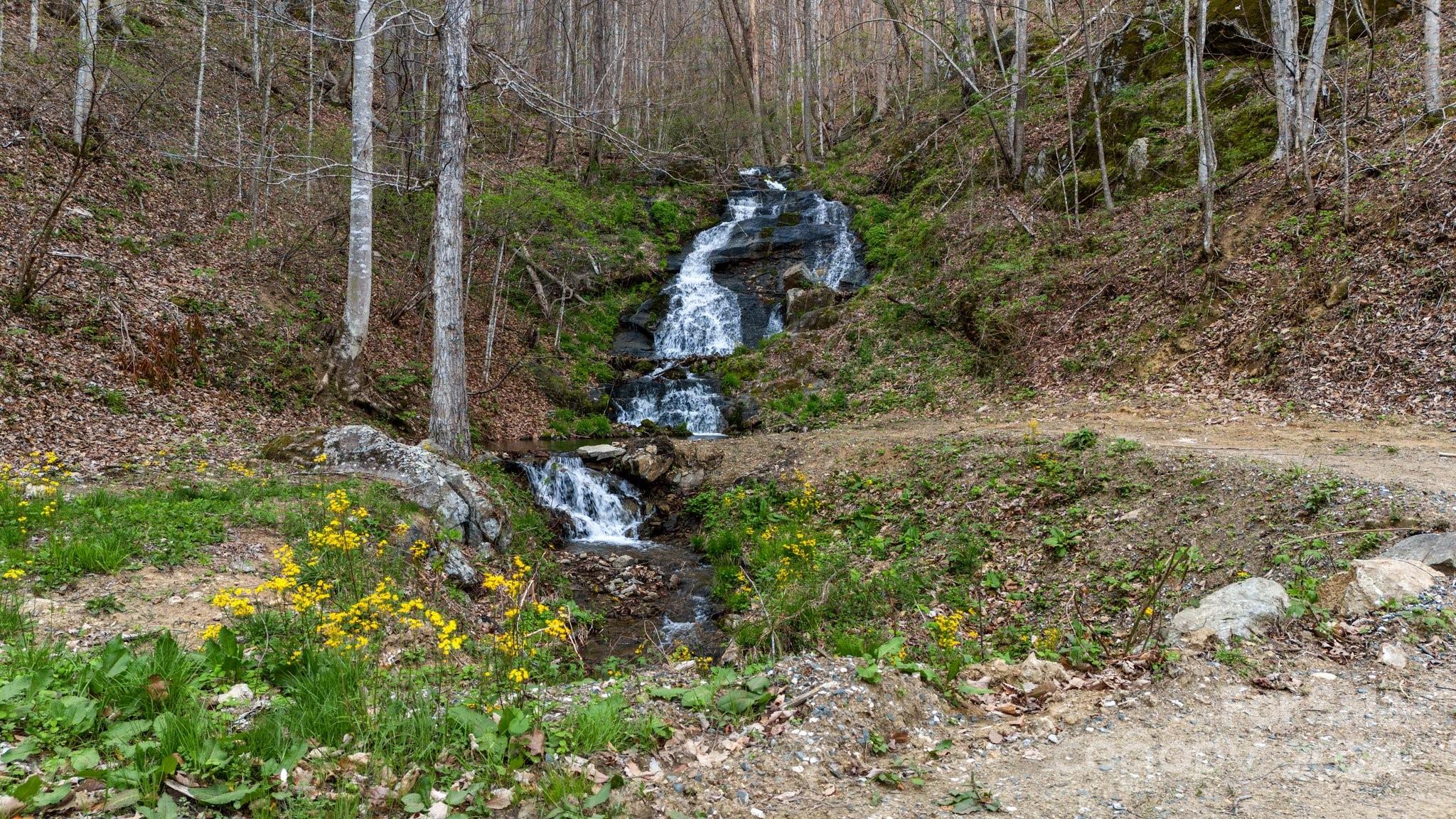 Lot 33 Deer Rock Road Hot Springs, NC 28743 - Photo 14 of 16 a view of a yard with plants and trees