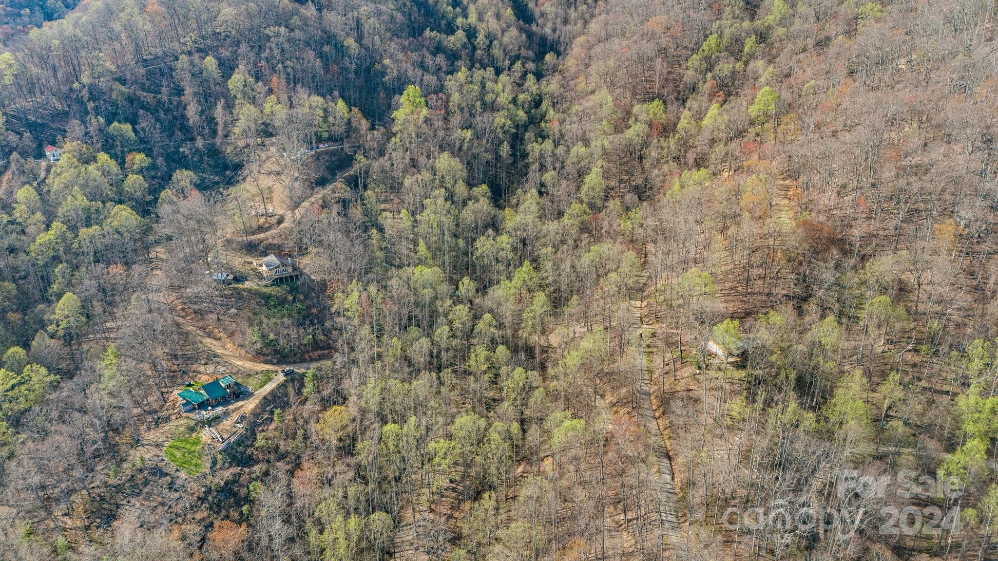 Lot 33 Deer Rock Road Hot Springs, NC 28743 - Photo 8 of 16