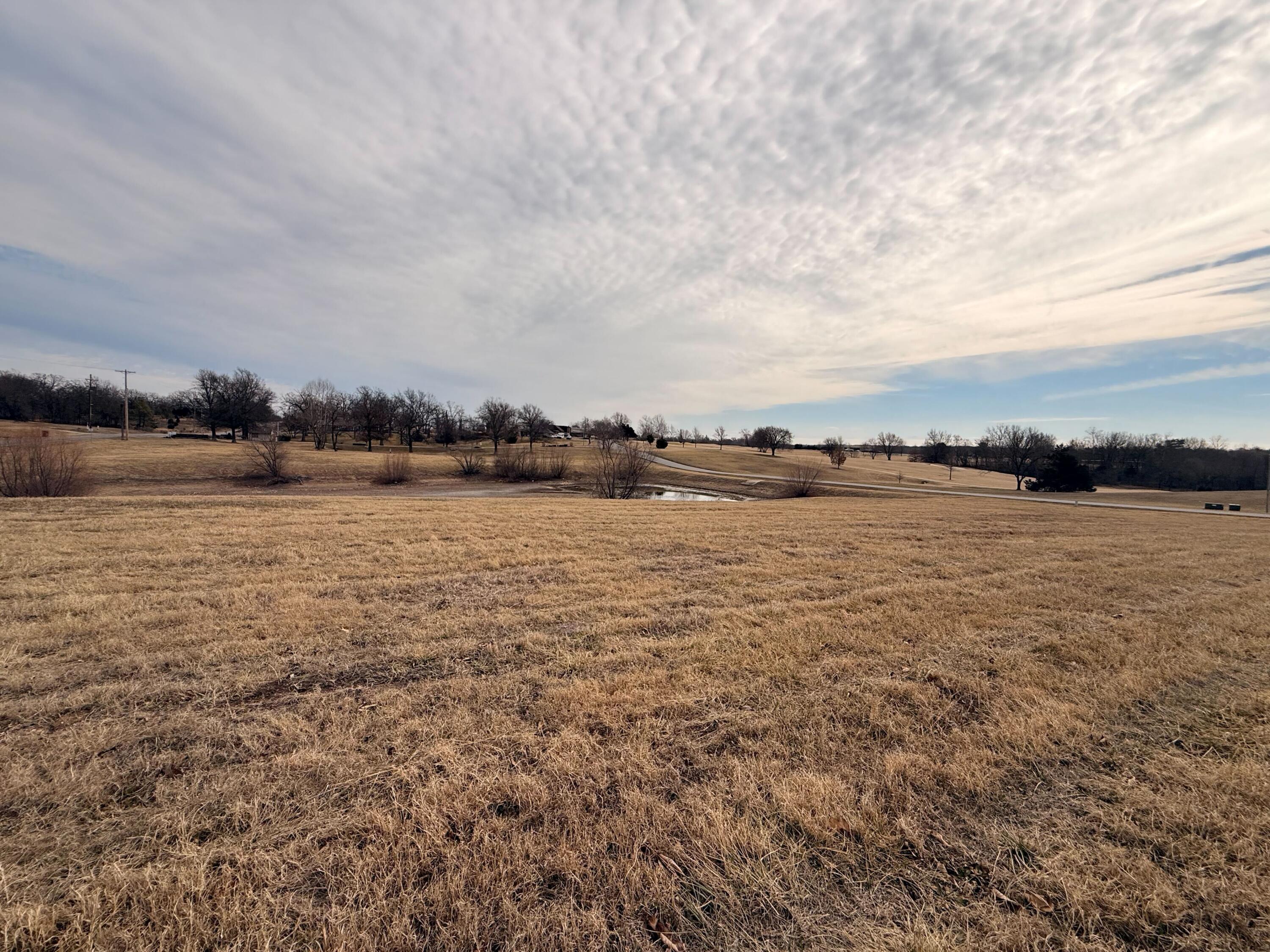0 Raintree Circle Joplin, MO 64804 - Photo 25 of 26 IMG_8692