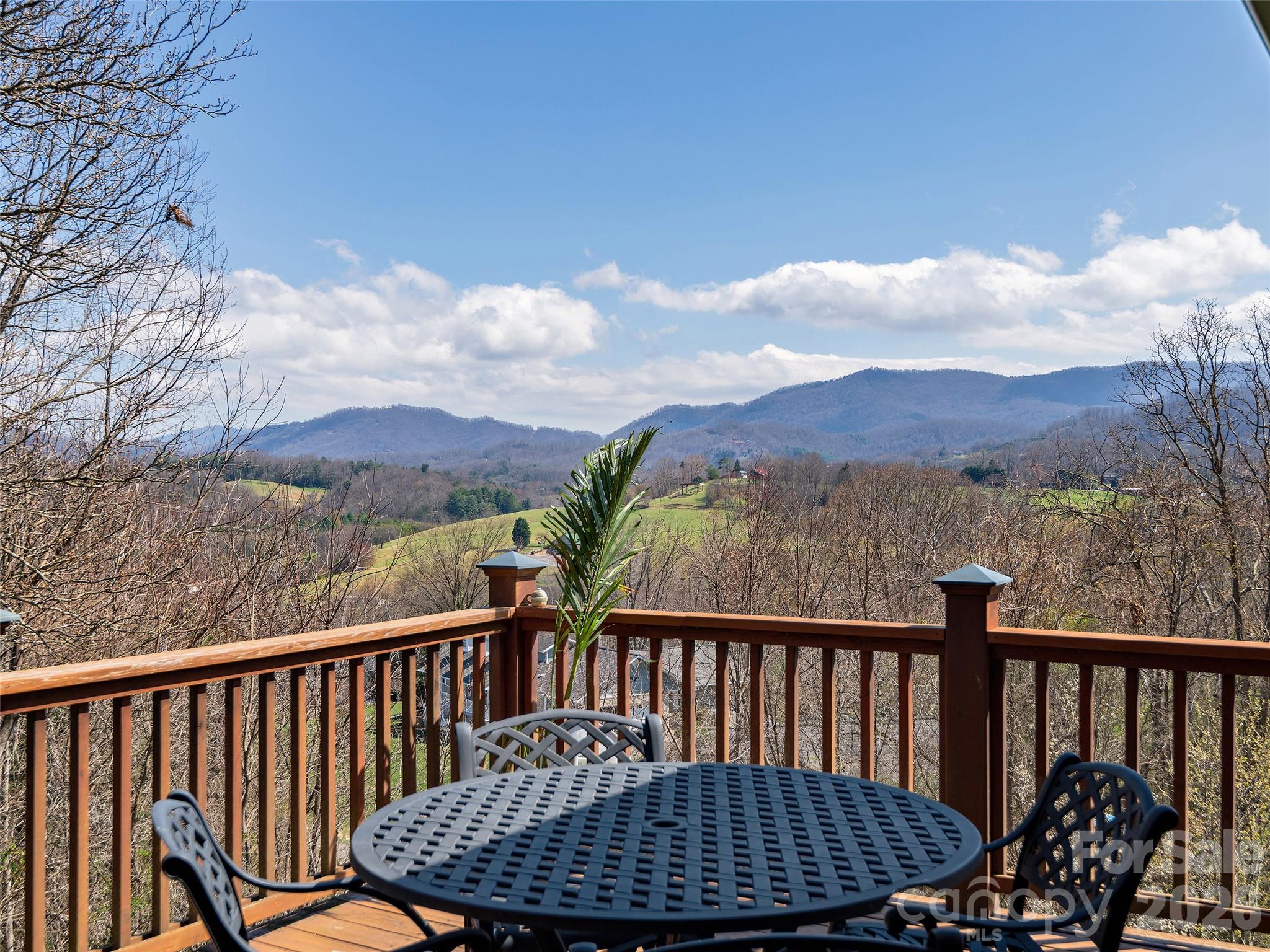 307 Sheep Pasture Road Waynesville, NC 28785 - Photo 15 of 48