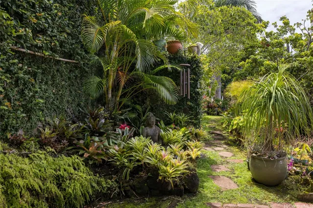 a view of a plant with a plant