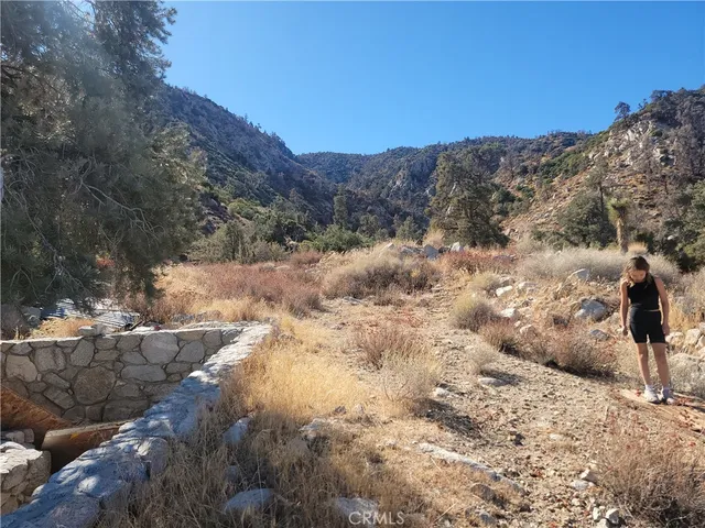a view of a bunch of trees and bushes