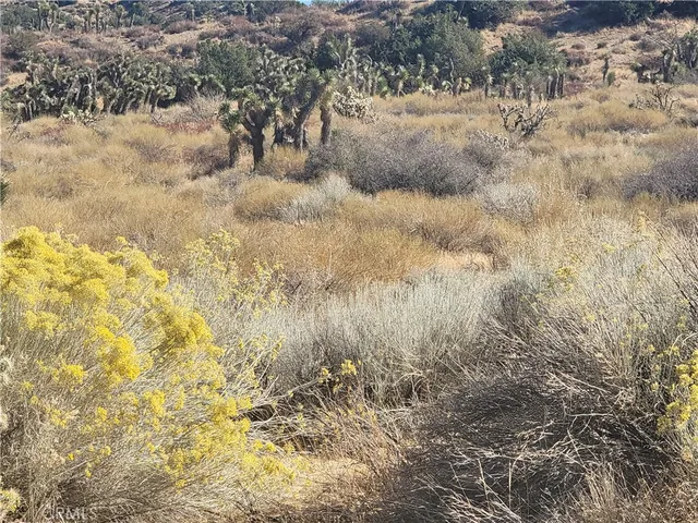 a view of a fireplace with a tree