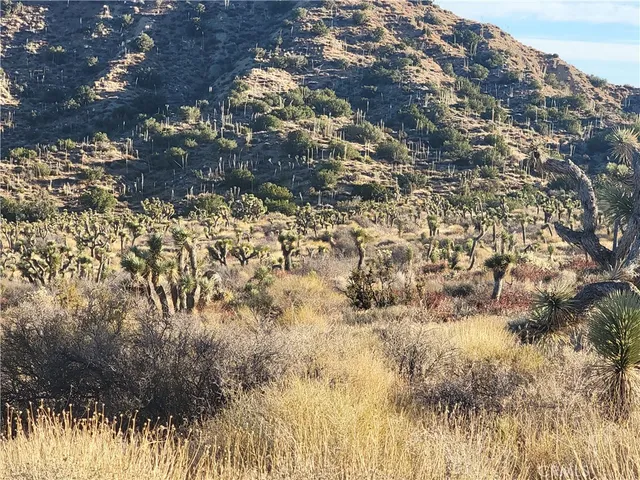 a view of outside area