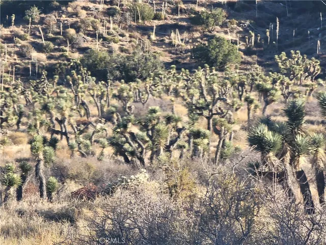 a view of a yard covered with snow in front of house
