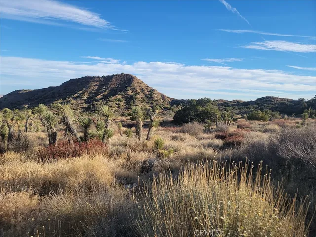 a view of a yard covered in snow