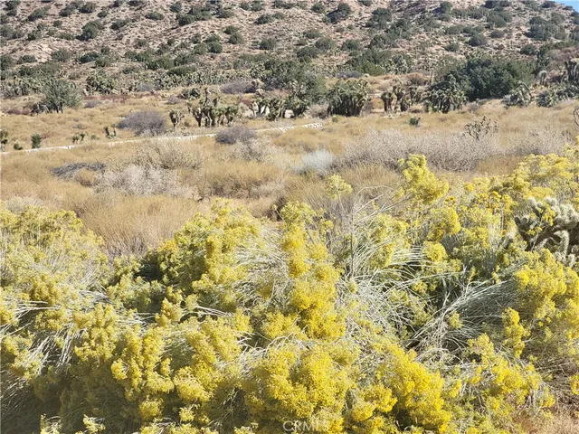 a view of a yard and mountain