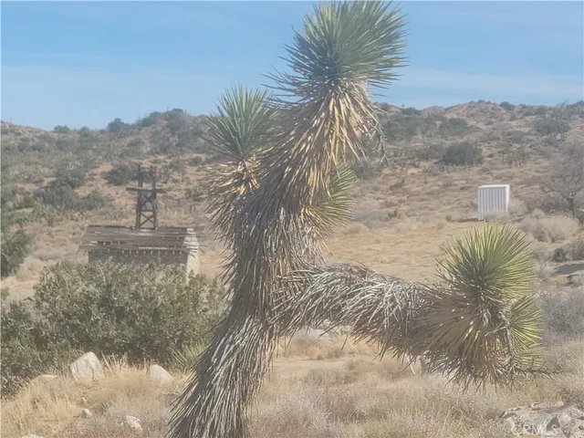 a view of a garden with a house