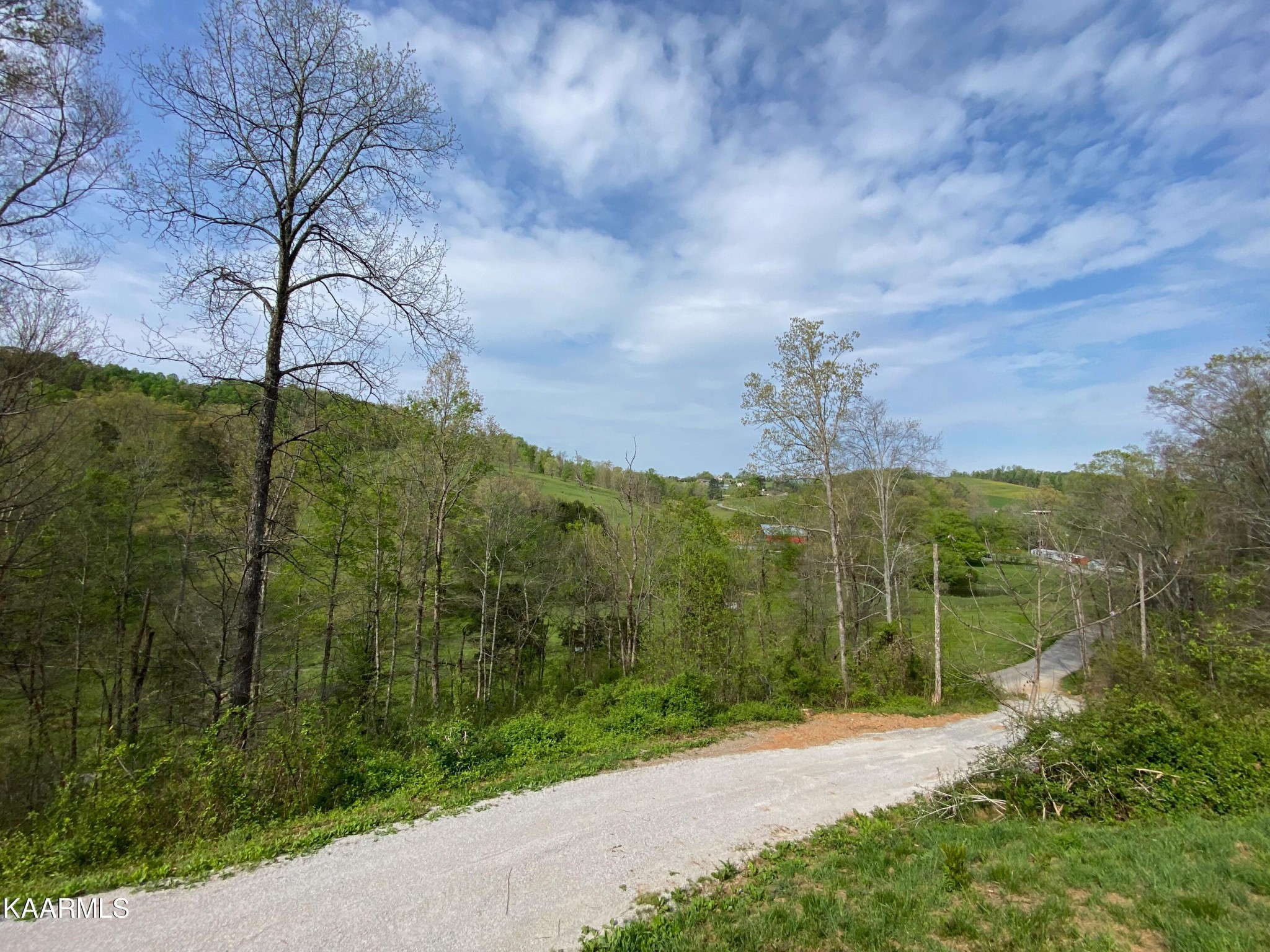 260 Carr Ridge Road New Tazewell, TN 37825 - Photo 2 of 45 Gallery Image 2
