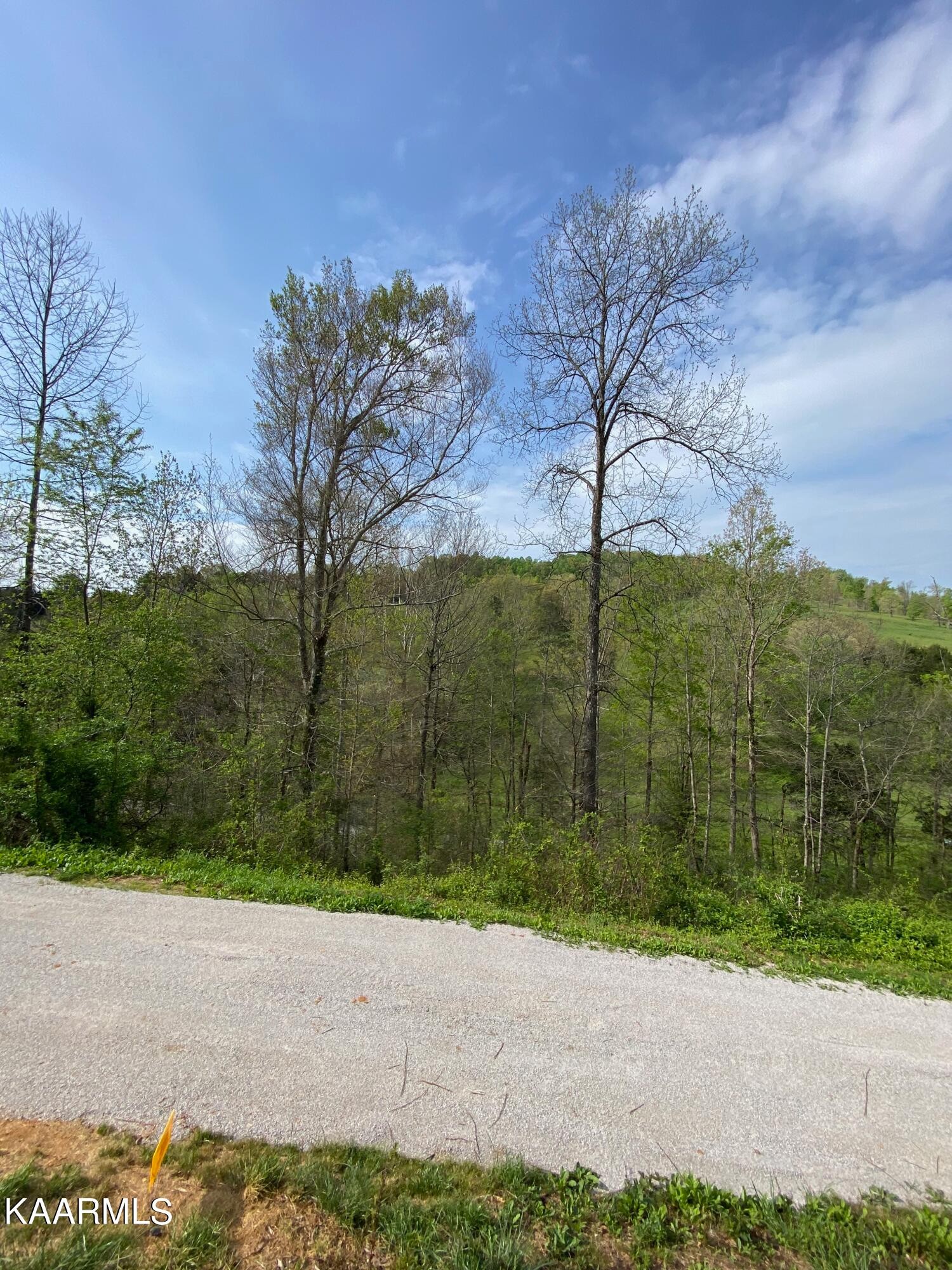 260 Carr Ridge Road New Tazewell, TN 37825 - Photo 39 of 45 Gallery Image 39
