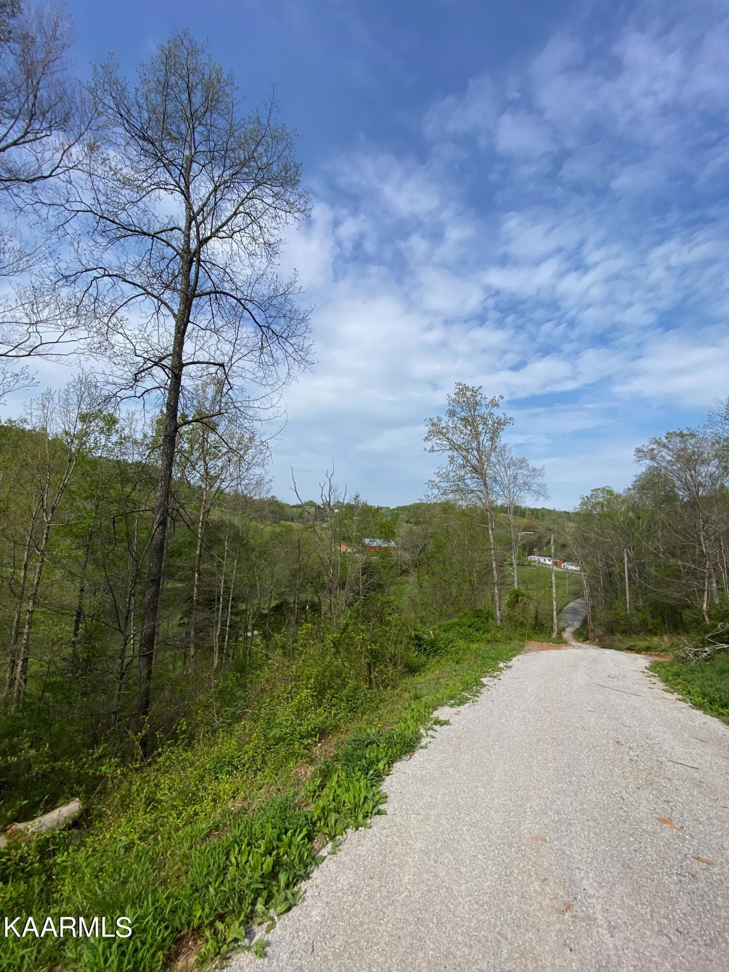 260 Carr Ridge Road New Tazewell, TN 37825 - Photo 43 of 45 Gallery Image 43