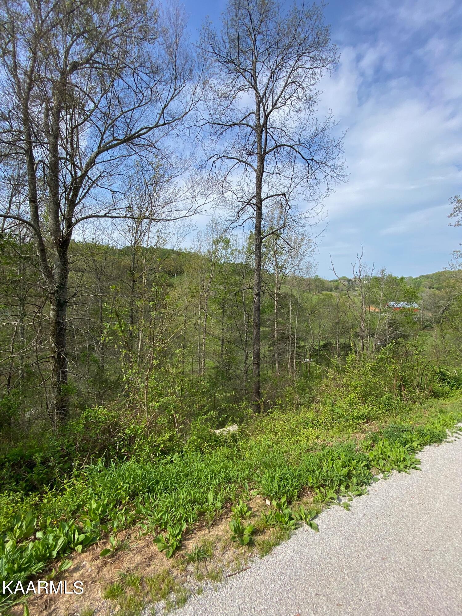 260 Carr Ridge Road New Tazewell, TN 37825 - Photo 44 of 45 Gallery Image 44