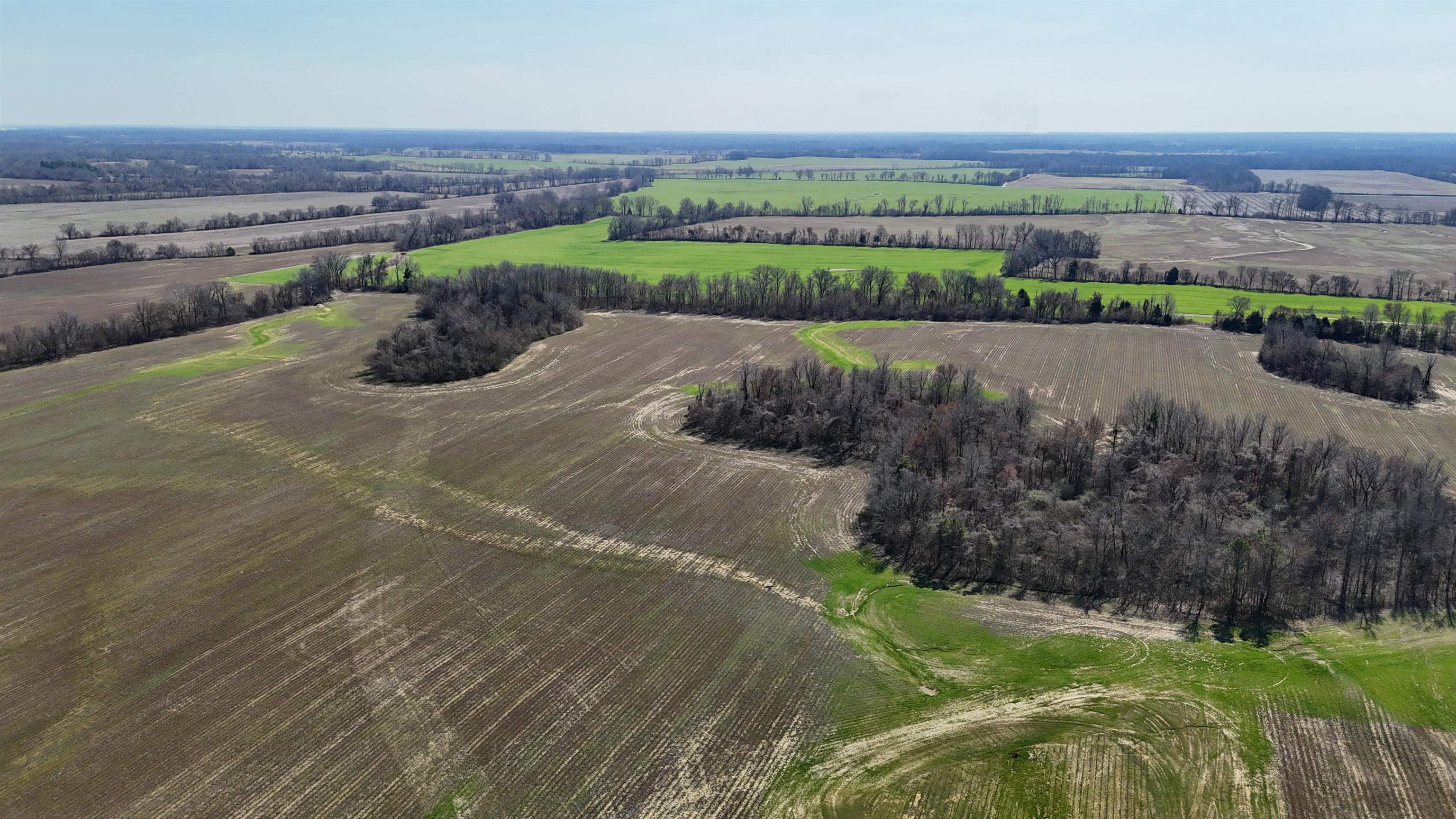 792 Smith Drive Covington, TN 38019 - Photo 33 of 34 Overview of rural landscape with large plots for crops