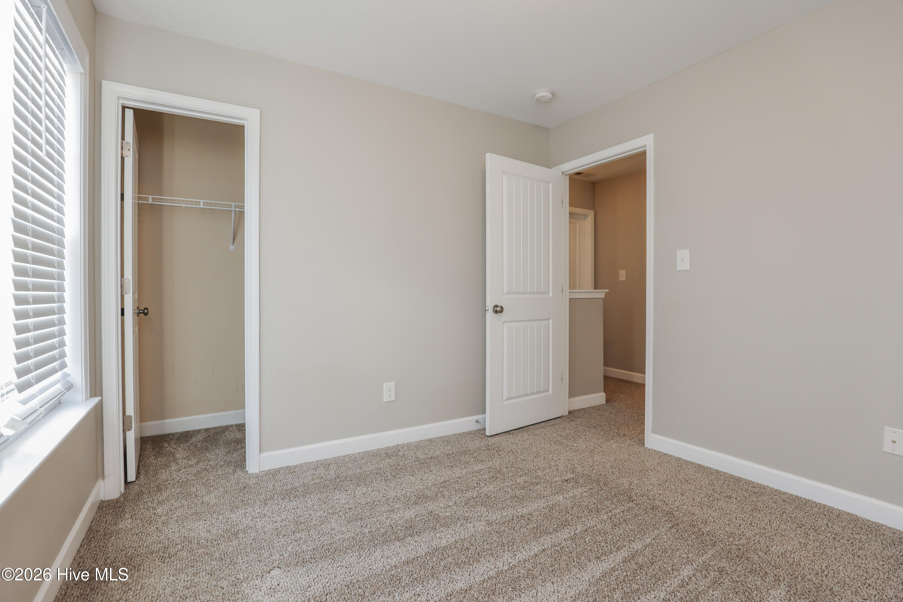 106 Blueberry Fields Road Maple Hill, NC 28454 - Photo 18 of 40 229A1689