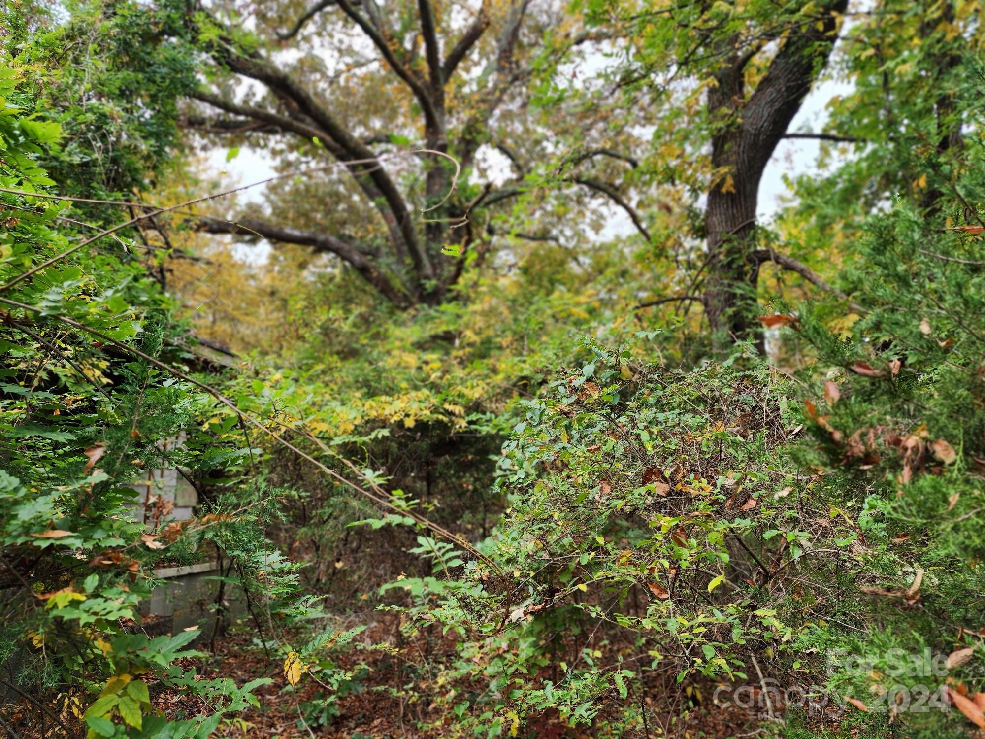 1219 Alexis High Shoals Road Dallas, NC 28034 - Photo 23 of 31 Gallery Image 23