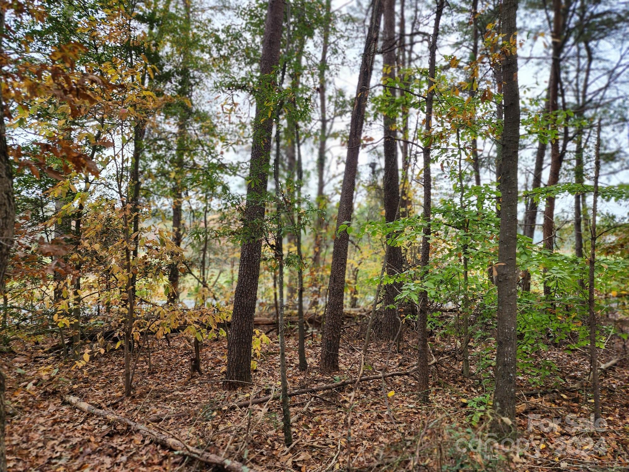 1219 Alexis High Shoals Road Dallas, NC 28034 - Photo 4 of 31 Gallery Image 4