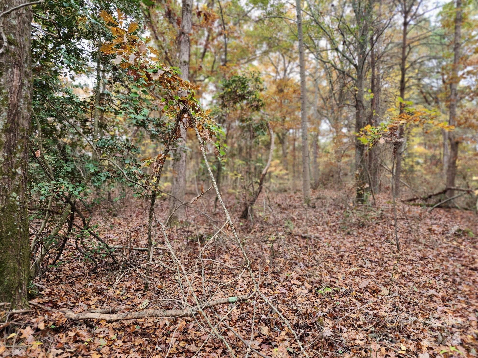 1219 Alexis High Shoals Road Dallas, NC 28034 - Photo 6 of 31 Gallery Image 6