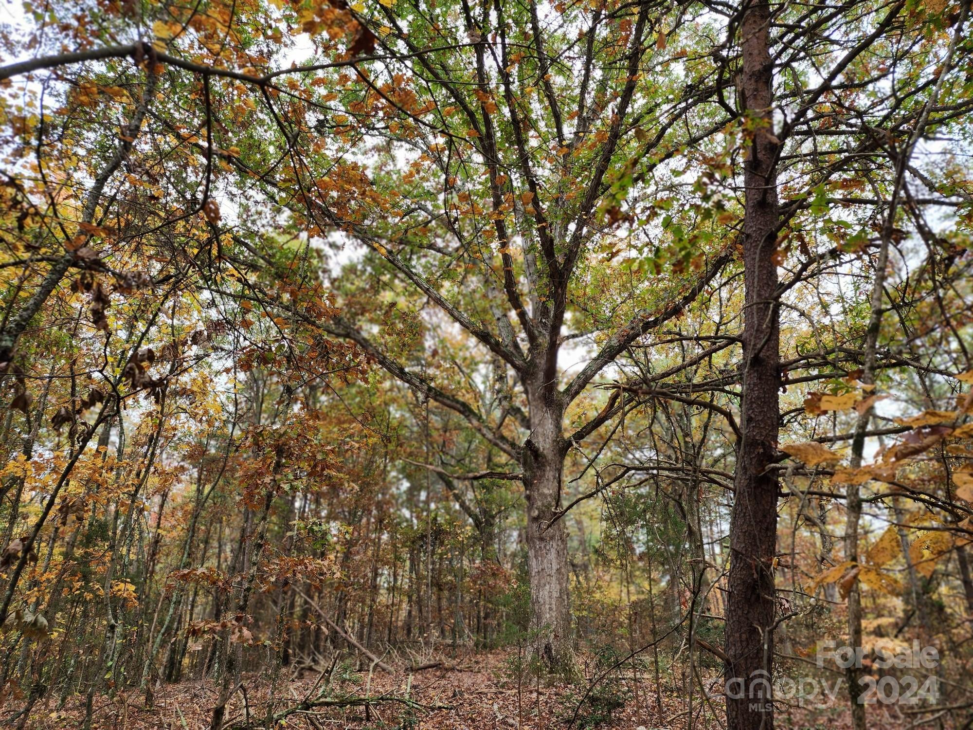 1219 Alexis High Shoals Road Dallas, NC 28034 - Photo 7 of 31 Gallery Image 7