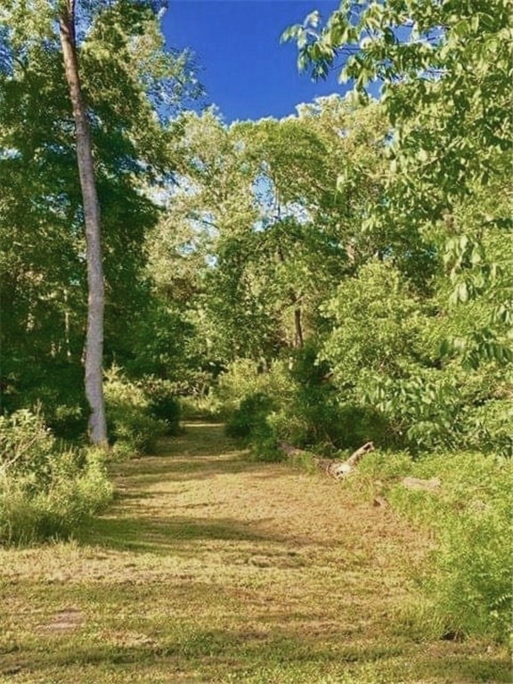 2042 Willow Springs Road Fayetteville, TX 78940 - Photo 39 of 42 a view of a yard with a tree