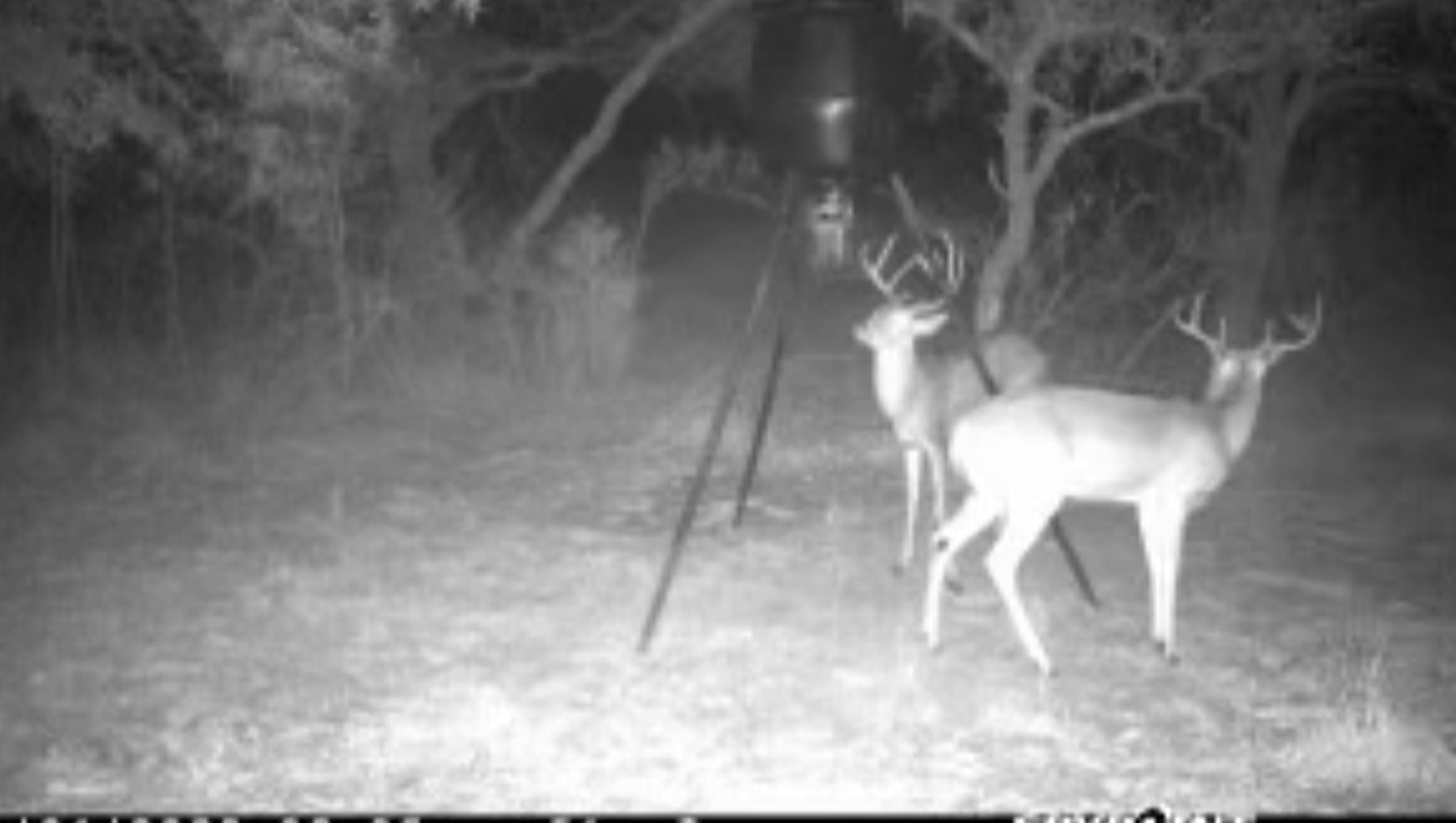 2042 Willow Springs Road Fayetteville, TX 78940 - Photo 42 of 42 a view of a chandelier fan and table in a room