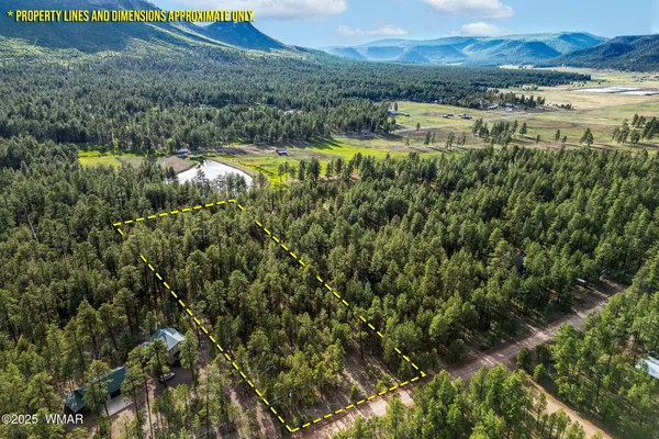 $185,000 | 15 Co Road, Alpine, AZ 85920