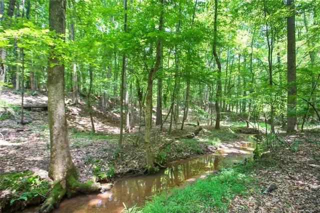 a backyard of a house with lots of green space and lake view