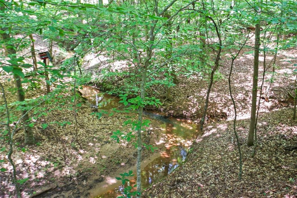 Lot20 A Tanglewood Road Newnan, GA 30263 - Photo 3 of 17
