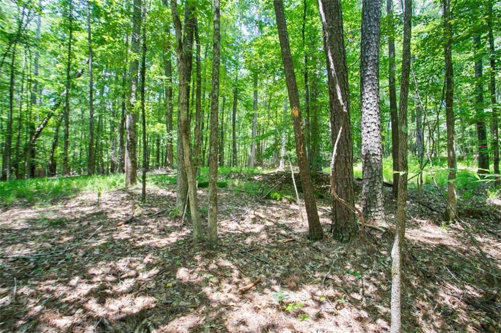 Lot20 A Tanglewood Road Newnan, GA 30263 - Photo 4 of 17