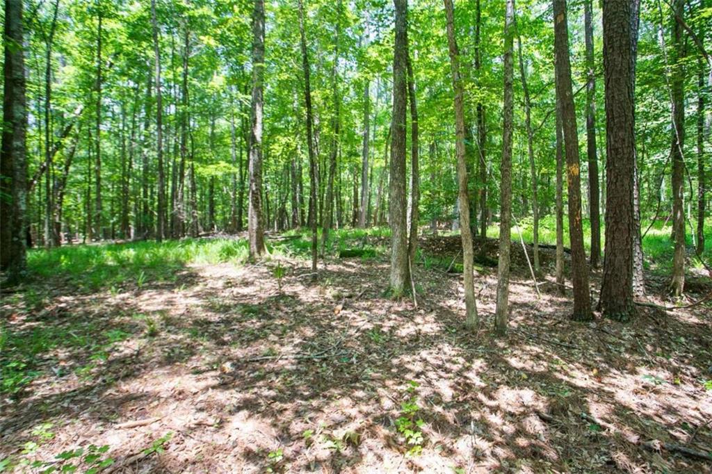 Lot20 A Tanglewood Road Newnan, GA 30263 - Photo 5 of 17